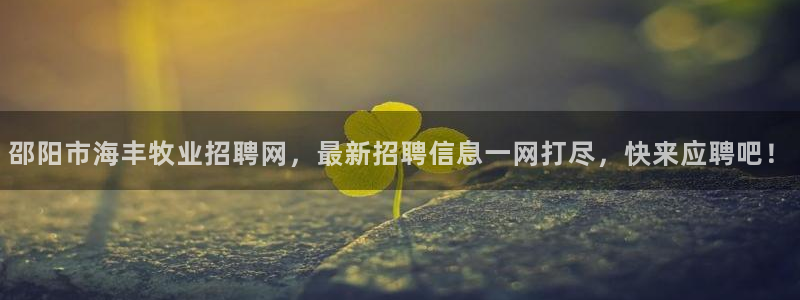 亚娱体育官网app在线下载中文在线